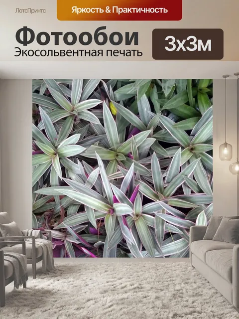 Фотообои Зеленые тропические цветы фон