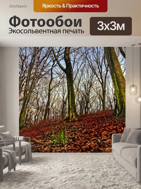 Фотообои Осенний пейзаж лесных деревьев