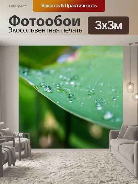Фотообои Капля воды