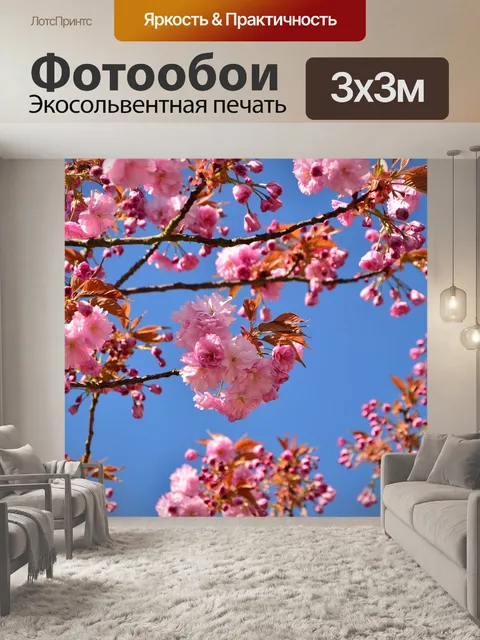 Фотообои Японская сакура