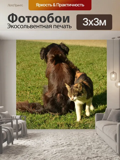 Фотообои Собака