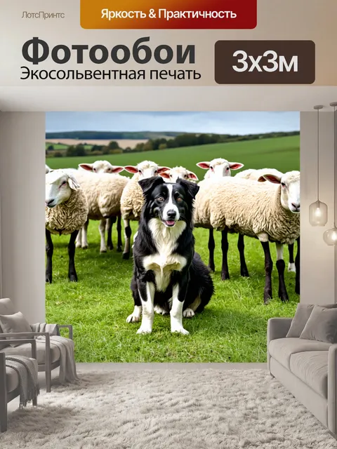 Фотообои бордер-колли, охраняющий ферму среди овец на фоне живописного сельского пейзажа