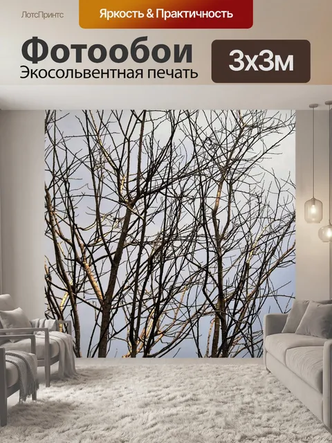 Фотообои Сучки