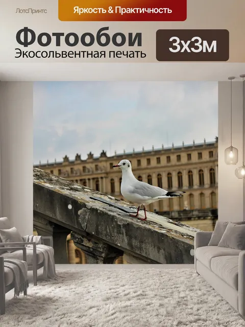 Фотообои Птица