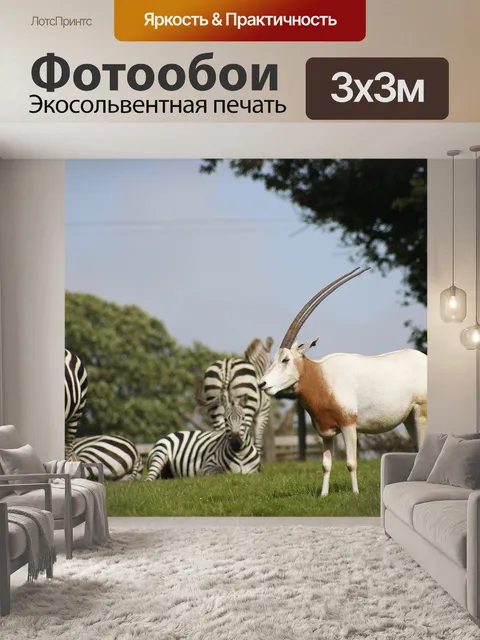 Фотообои Зебра