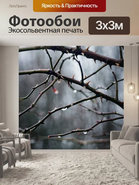Фотообои Капли дождя колючки ветви горя