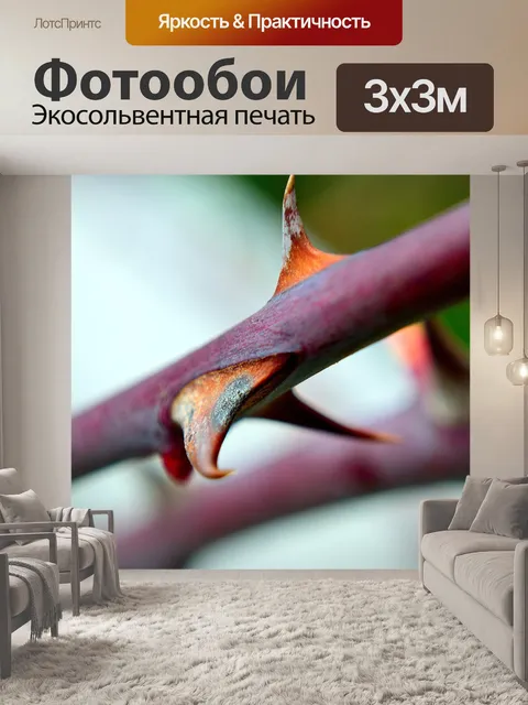 Фотообои розы шип