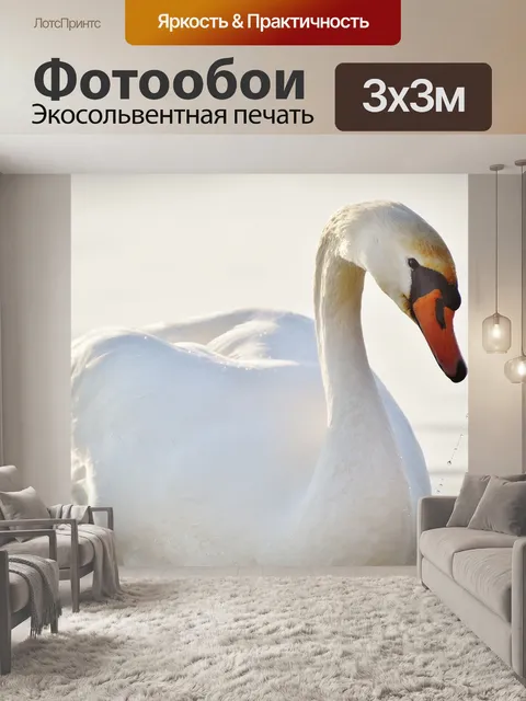 Фотообои Лебедь