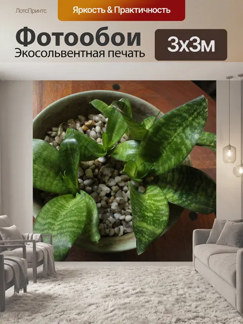 Фотообои растений на горшок
