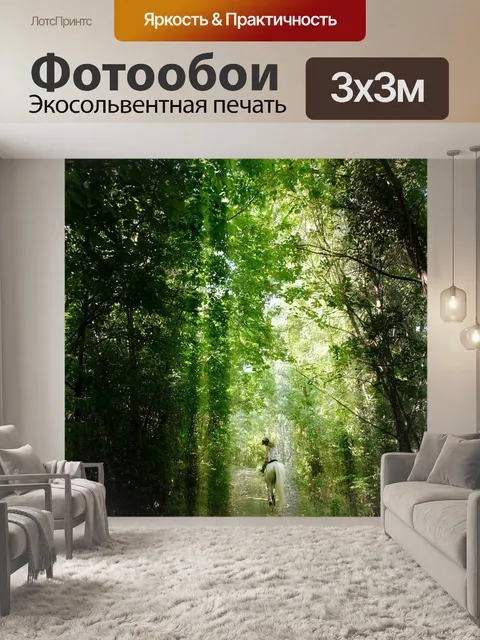 Фотообои Райдер
