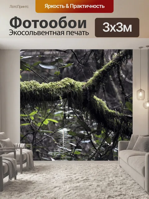 Фотообои Мшистые Отрасль