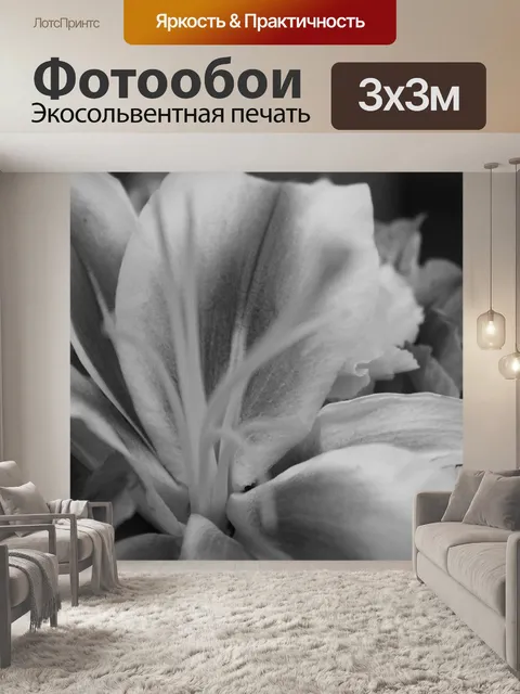 Фотообои Черно-белые лепестки