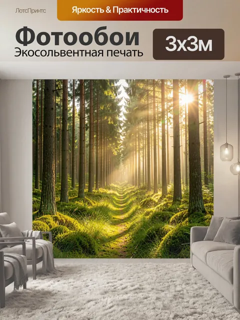 Фотообои Солнечный лесной путь среди сосен