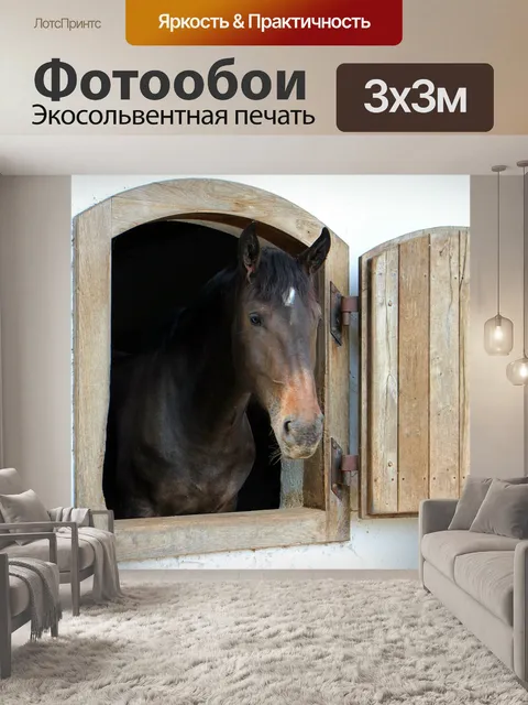 Фотообои Лошадь