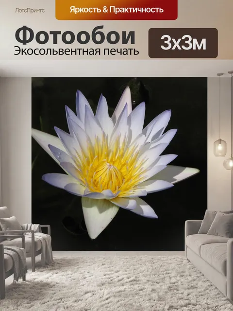 Фотообои Водяная лилия