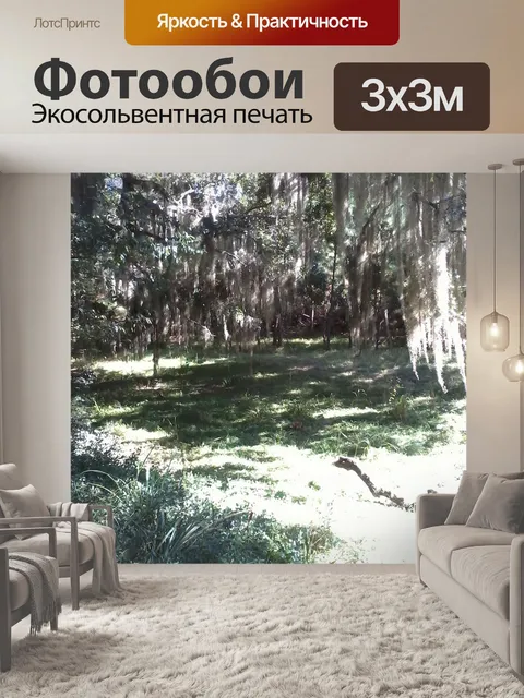 Фотообои Mossy Деревья в Вудс