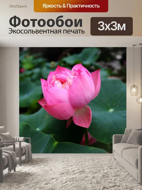 Фотообои Лотос