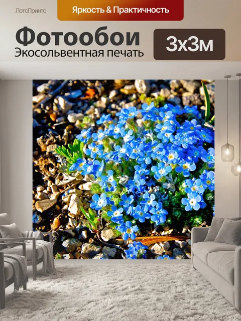 Фотообои Голубые цветы в Скалистых горах