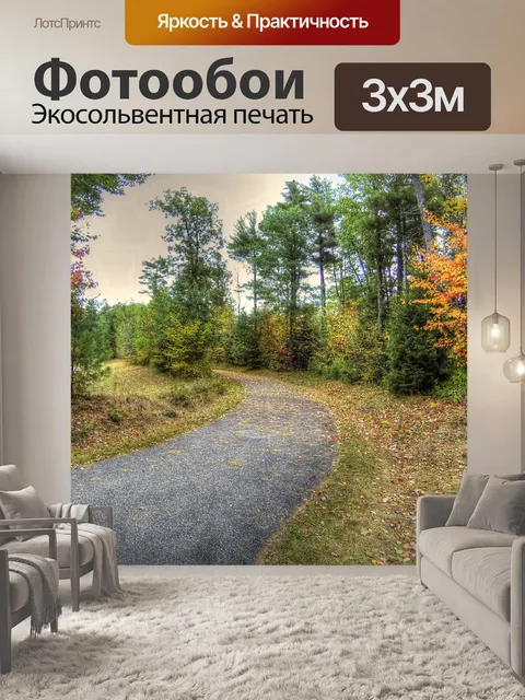 Фотообои Осенняя проселочная дорога