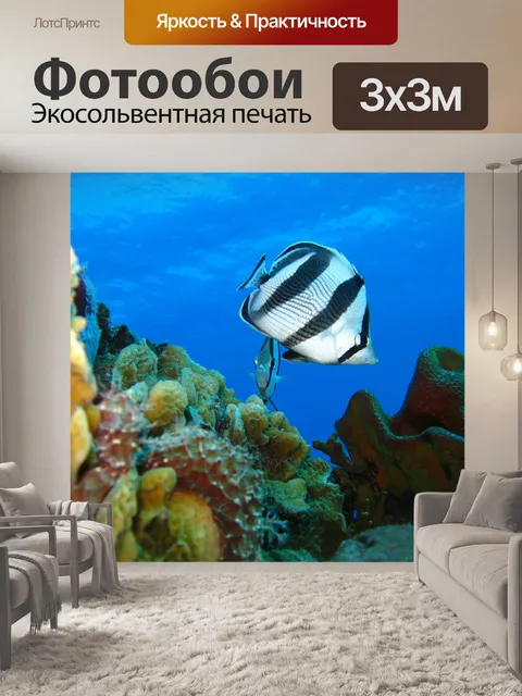 Фотообои Подводный