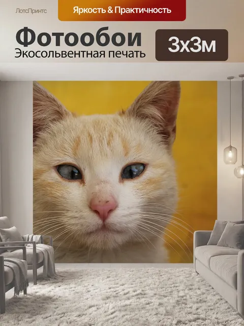 Фотообои Кошка