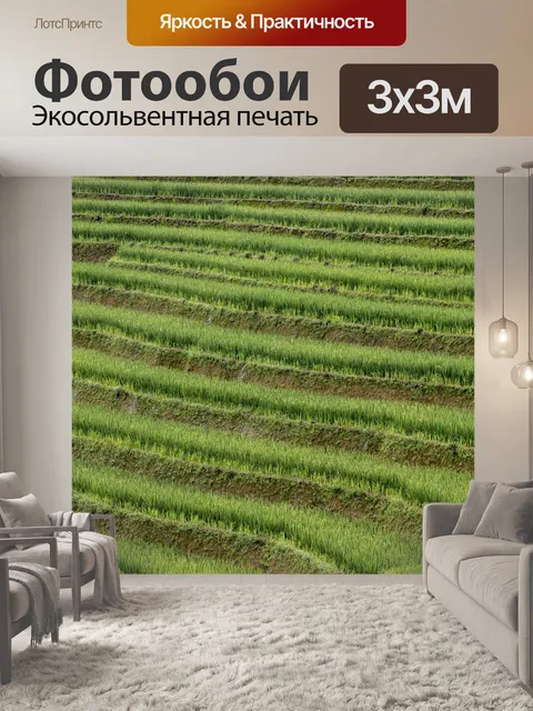 Фотообои Сапа