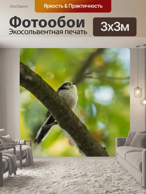 Фотообои Выйдя на ветке