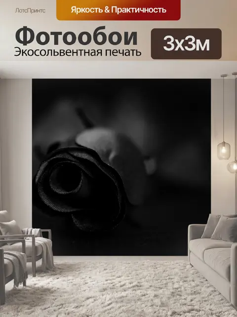 Фотообои темная роза