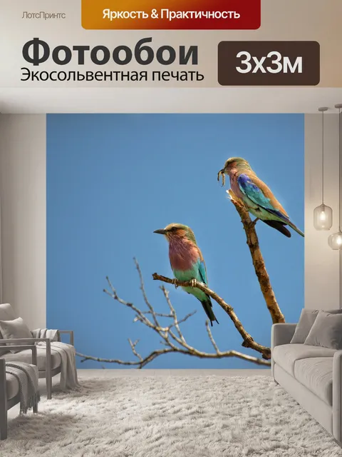 Фотообои Птицы