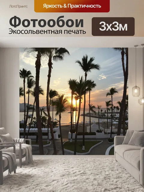 Фотообои Пальмы