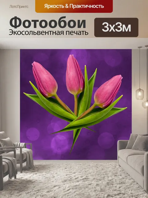 Фотообои Три тюльпаны