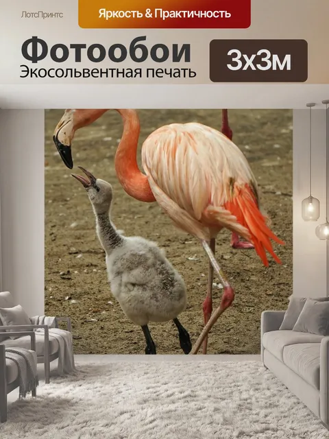 Фотообои Фламинго