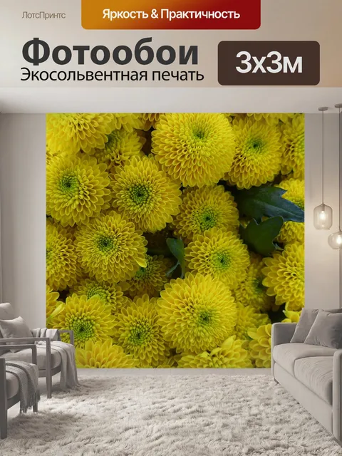 Фотообои Хризантема