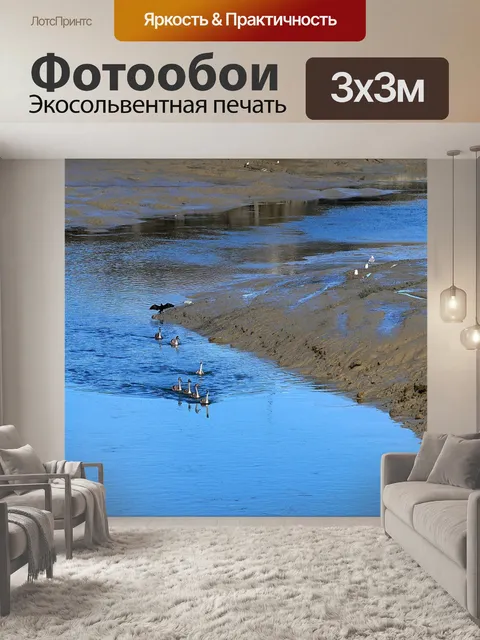 Фотообои Ducks