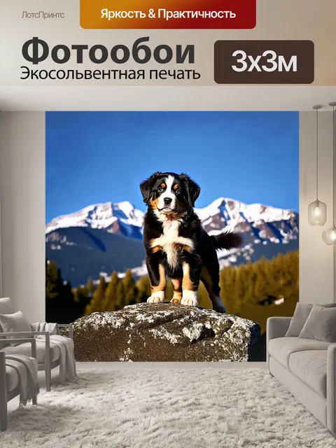 Фотообои щенок бернского зенненхунда