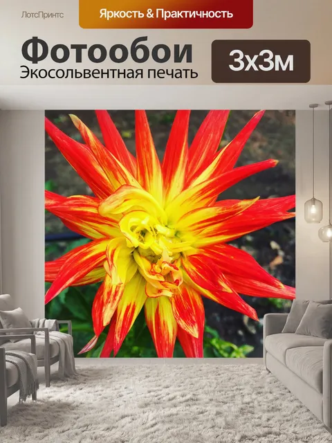 Фотообои Цветок