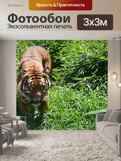 Фотообои Тигр
