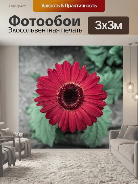 Фотообои Красный