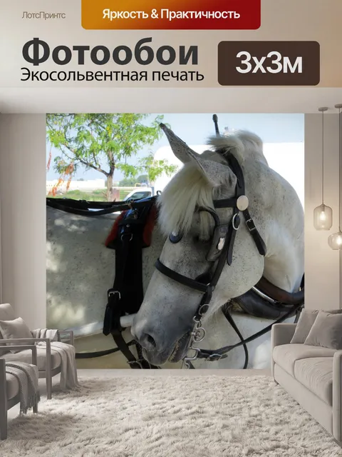 Фотообои Перевозка Лошадь руководитель