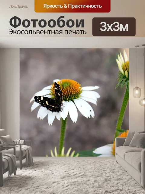 Фотообои Бабочка