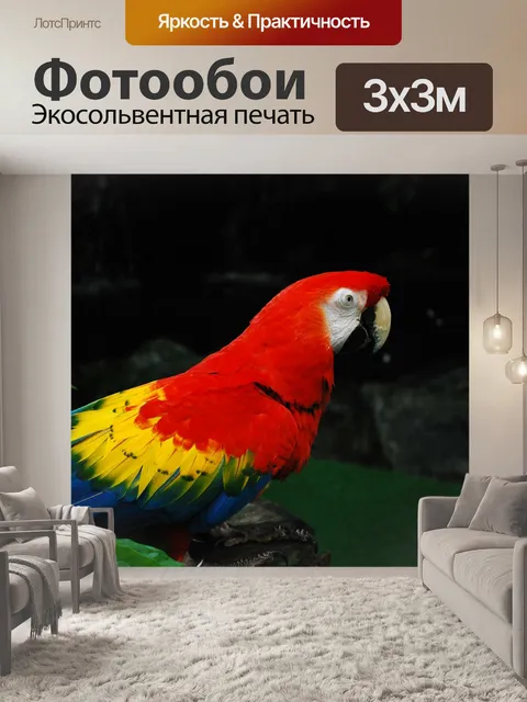 Фотообои Попугай