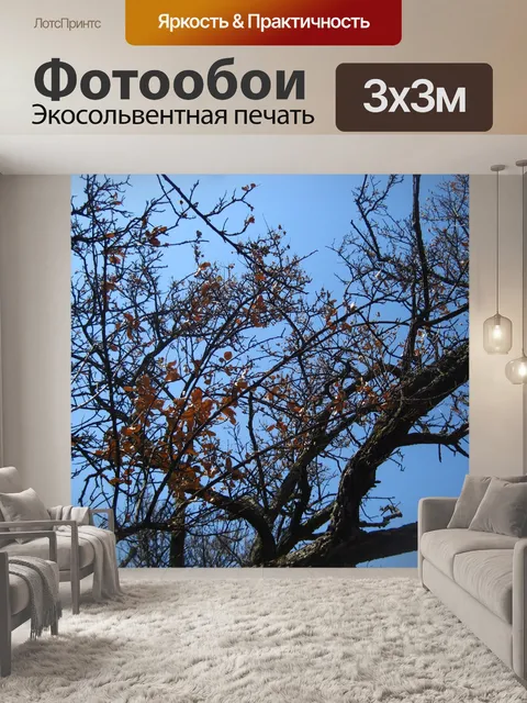 Фотообои крепкие ветки с сухими листьями