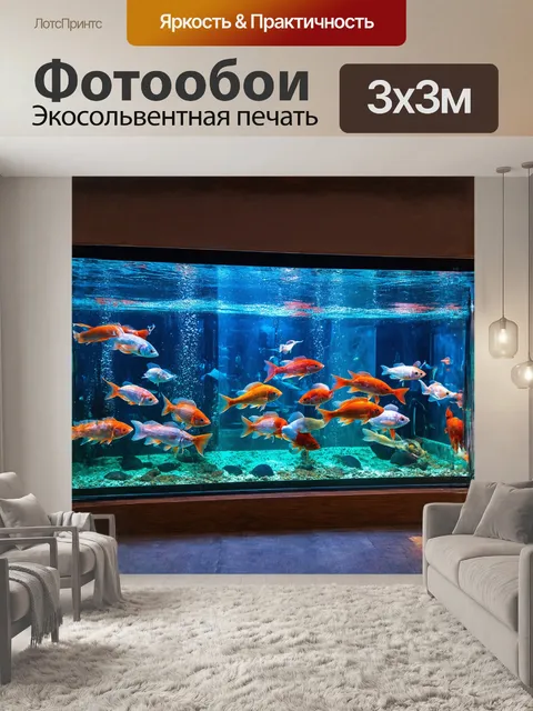 Фотообои погружение в внутреннюю часть рыбного магазина, где выставлены аквариумы с живыми рыбами разных расцветок