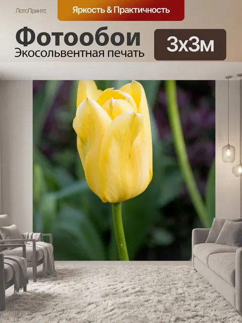 Фотообои Желтый цветок Тюльпан
