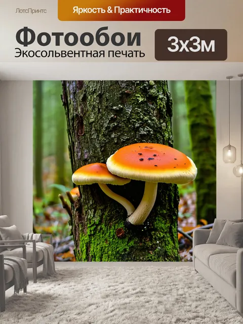 Фотообои грибы биология: вдохновение природой