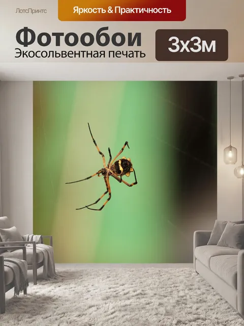 Фотообои Паук