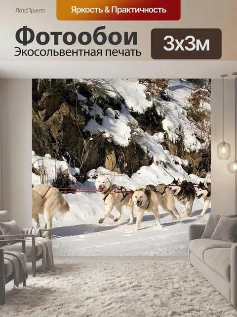 Фотообои Зимы