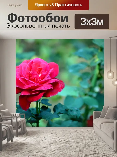 Фотообои Красивые розы