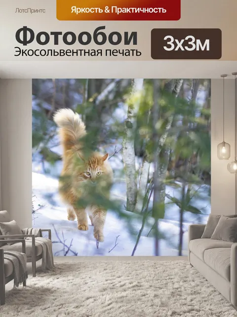 Фотообои Кошка