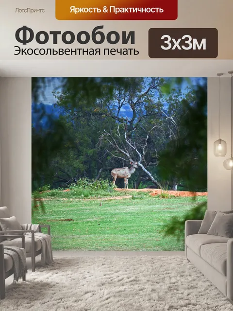 Фотообои Куду корова на плоском зеленом поле